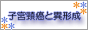 banner.gif